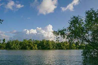 Rocket Launch Today: Status & Key Data